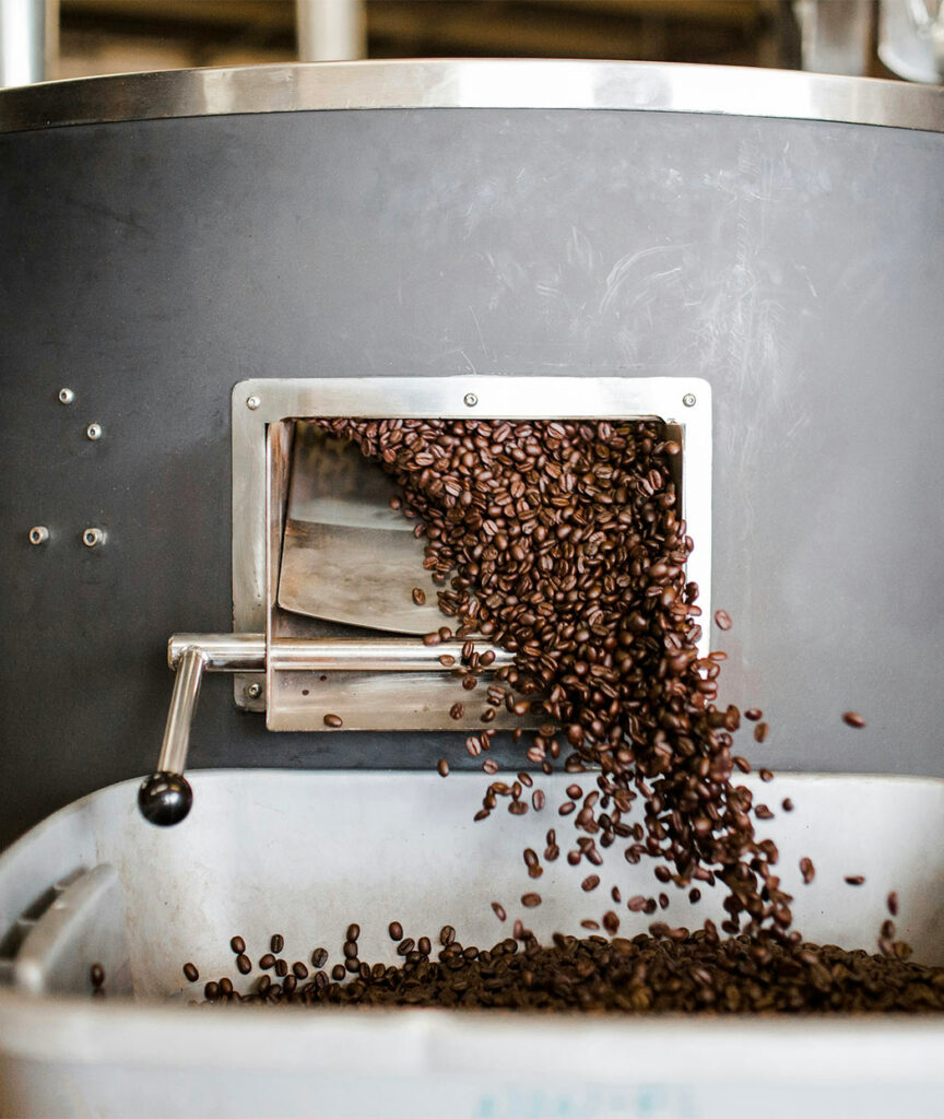 Les grains de café fraîchement torréfiés sortent de la machine, prêts à être emballés ou utilisés pour la préparation de boissons.