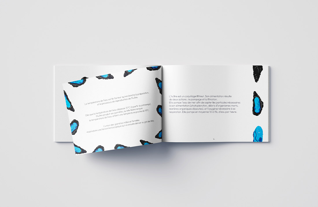 Cette page du livre "Coquillages et Crustacés" fournit des informations détaillées sur l'huître, y compris sa température de cuisson idéale et son alimentation.