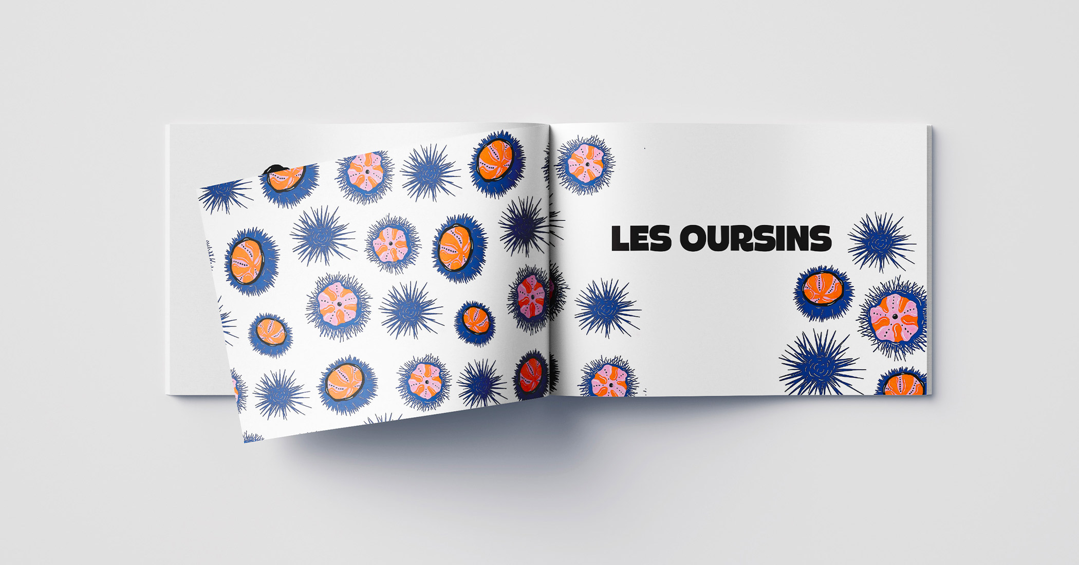 Page "Les Oursins" avec des illustrations colorées de moules sur un fond blanc. Le titre est écrit en lettres noires.
