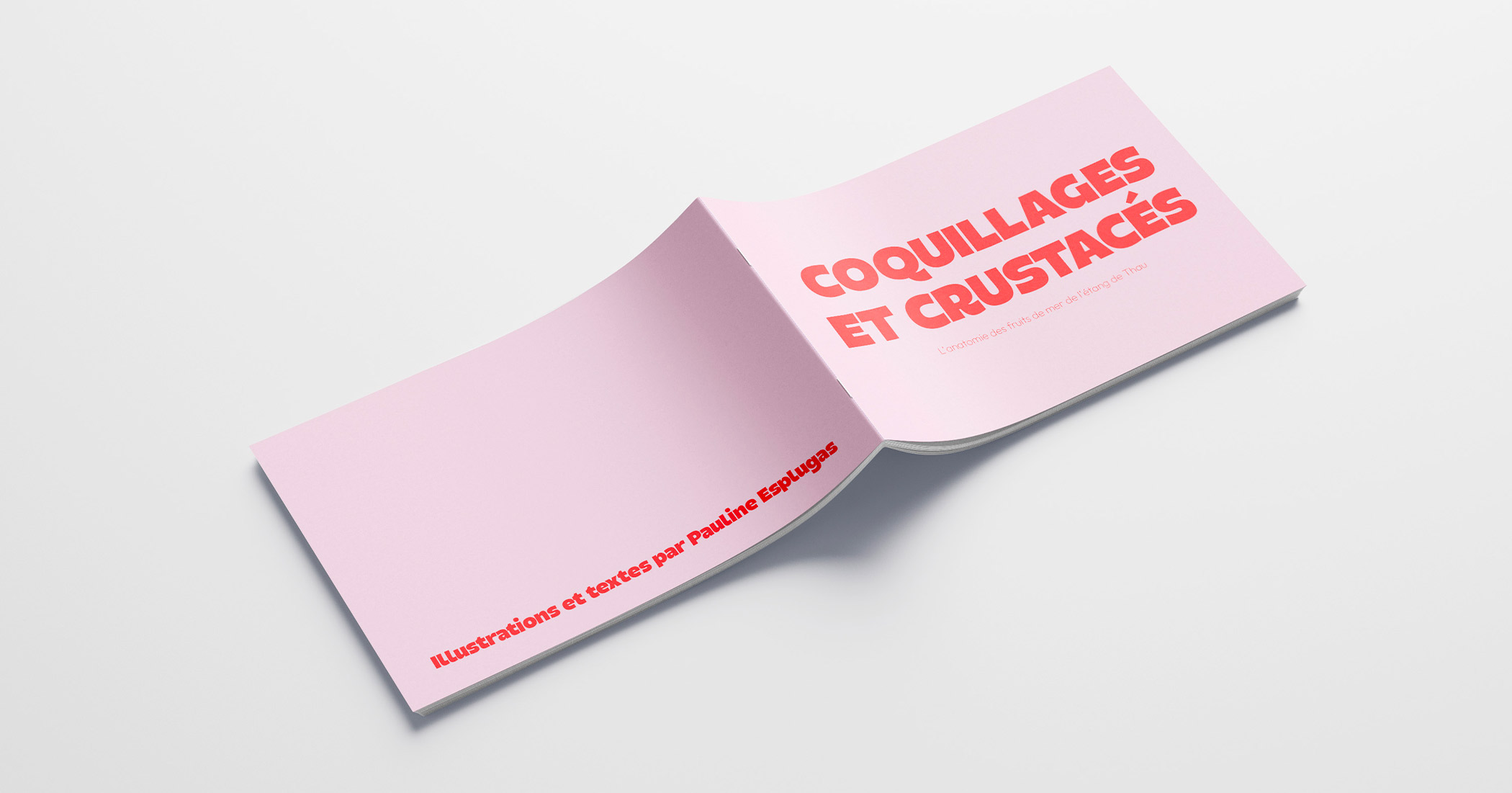 Le livre 'Coquillages et Crustacés' ouvert, montrant la page de couverture et la page de dos avec les illustrations et textes par Pauline Esplugas.