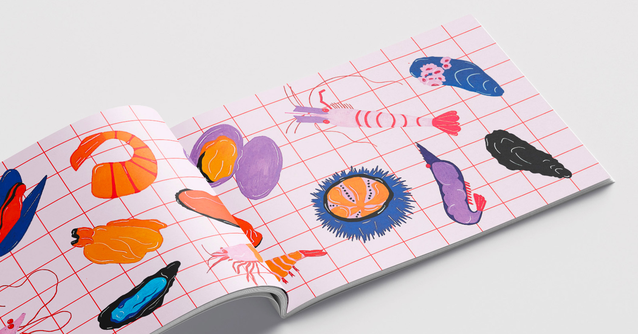 Cette page du livre "Coquillages et Crustacés" présente une variété d'illustrations colorées de différents coquillages et crustacés sur un fond rose avec une grille rouge.