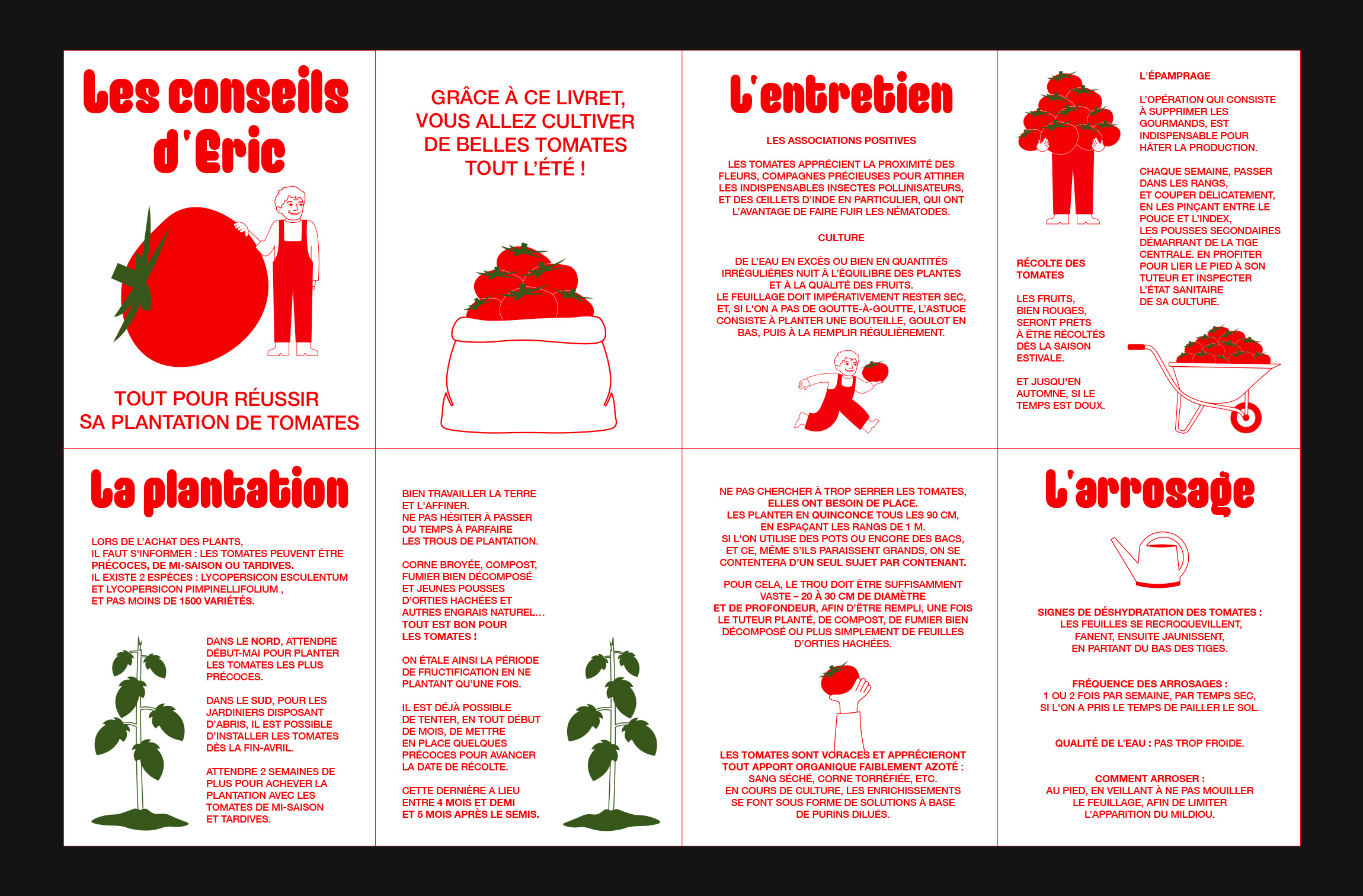 Pages du Fanzine "Les conseils d'Éric" détaillant les étapes et conseils pour cultiver des tomates. Les sections incluent "La plantation", "L'entretien" et "L'arrosage", avec des illustrations et des explications détaillées.