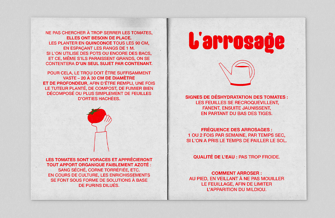Cette image présente la page du Fanzine sur les conseils détaillés sur l'arrosage des tomates, incluant la fréquence, les signes de déshydratation et les bonnes pratiques pour un arrosage efficace.
