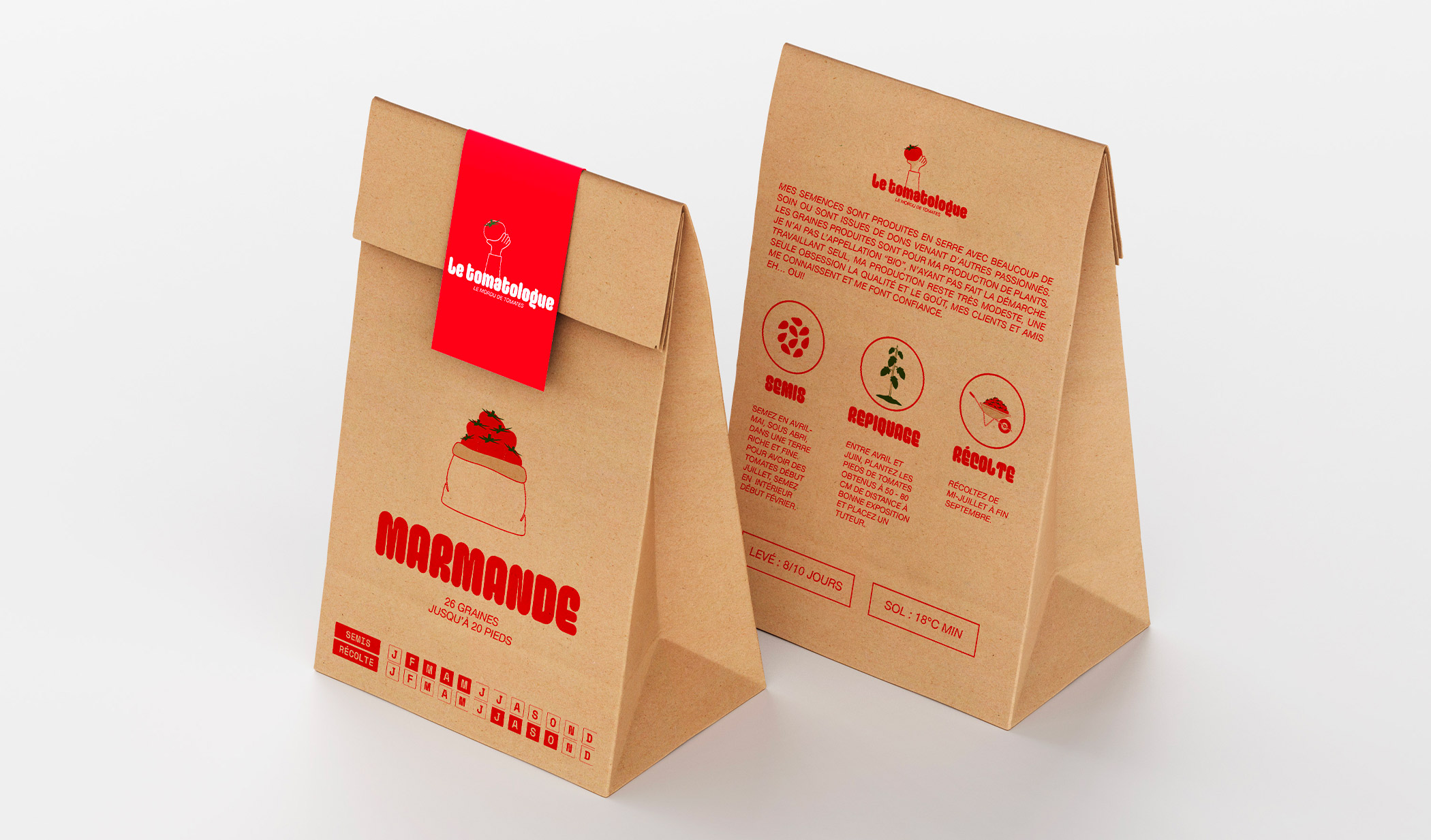 Paquet de graines de tomates Marmande du Tomatologue, contenant 26 graines jusqu'à 20 pieds. Conseils pour les semis, le repiquage et la récolte.