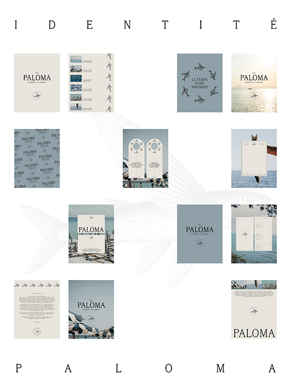 PALOMA-16